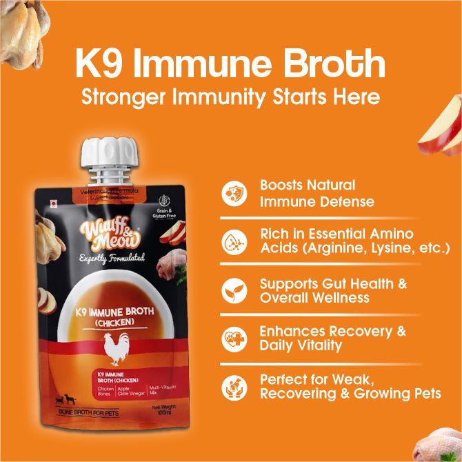 K9 Immune, Hydration & Digestive Support Fresh Bone Broth For Dogs