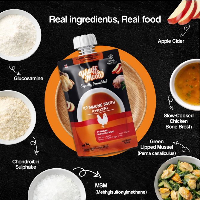 K9 Immune, Hydration & Digestive Support Fresh Bone Broth For Dogs