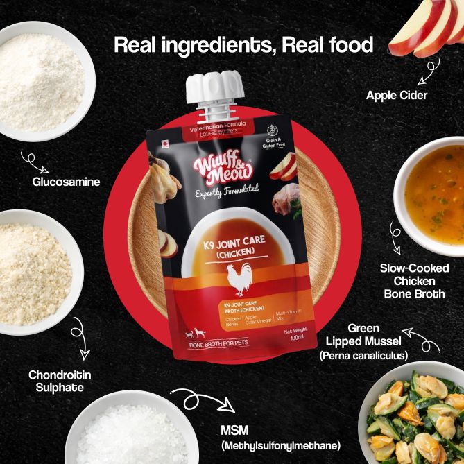 K9 Joint Care Fresh Bone Broth For Dogs