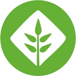 Beta Glucan - Immune Support 