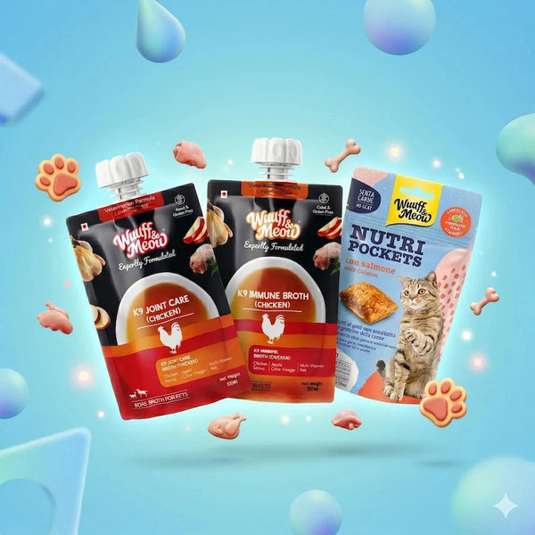 Bone Broth & Treats