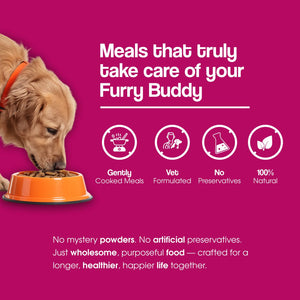 Chicken Rice & Veggies Fresh Dog Food - Zero Preservatives
