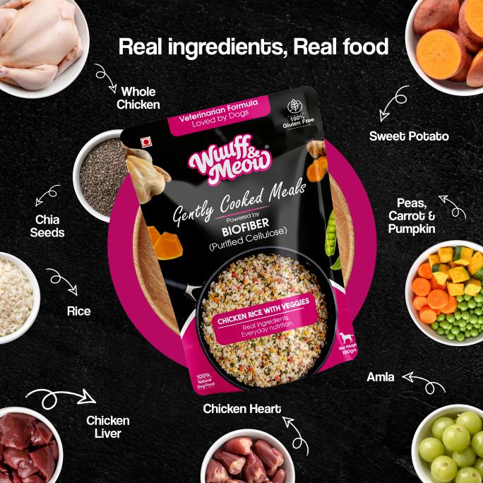 Chicken Rice & Veggies Fresh Dog Food - Zero Preservatives