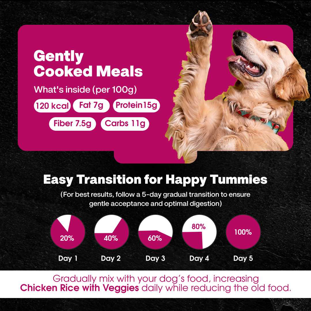 Chicken Rice & Veggies Fresh Dog Food - Zero Preservatives