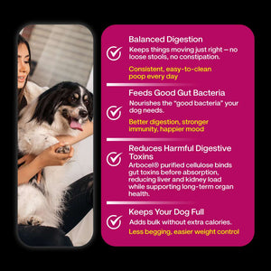 Chicken Rice & Veggies Fresh Dog Food - Zero Preservatives