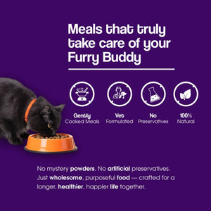 Chicken & Tuna in Gravy | Gently Cooked Wet Cat Food Powered By BioFiber - Arbocel Purified Plant-Based Fiber | 100g