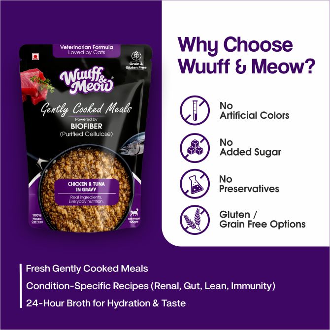 Chicken & Tuna in Gravy | Gently Cooked Wet Cat Food Powered By BioFiber - Arbocel Purified Plant-Based Fiber | 100g