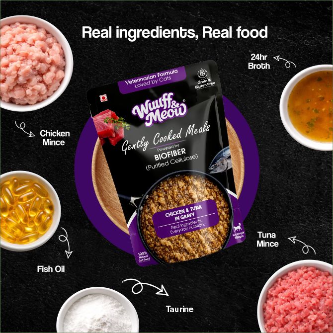 Chicken & Tuna in Gravy | Gently Cooked Wet Cat Food Powered By BioFiber - Arbocel Purified Plant-Based Fiber | 100g