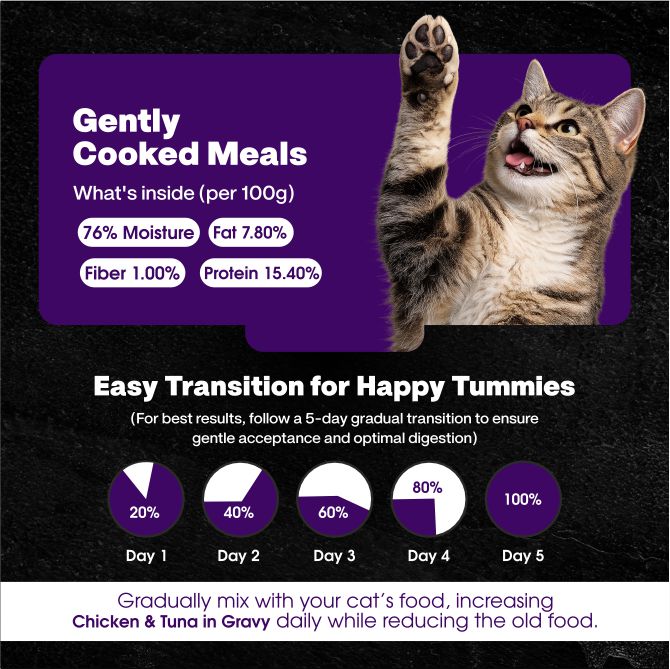 Chicken & Tuna in Gravy | Gently Cooked Wet Cat Food Powered By BioFiber - Arbocel Purified Plant-Based Fiber | 100g