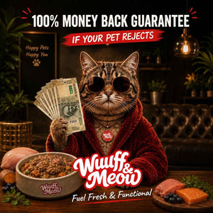GimCat Rolls with Chicken – Low-Calorie Round Cat Treats | Real Chicken | 100 Rolls