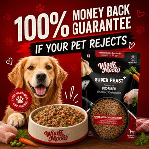 Chicken Pumpkin with Vegetables Dog Food — Gently Cooked Wet Dog Meal with Zero Preservatives| Powered By BioFiber - Arbocel Purified Plant-Based Fiber | 100g