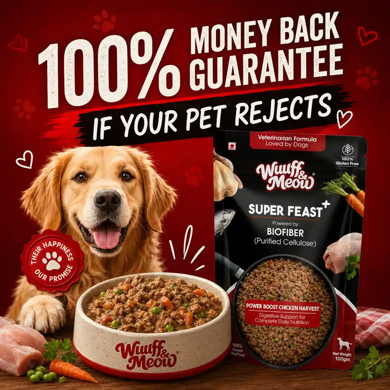 Renal Care Gently Cooked Dog Food | Kidney Supported & Vet-formulated Therapeutic Renal Diet For Dogs Powered by Arbocel® Plant-Based Functional BioFiber