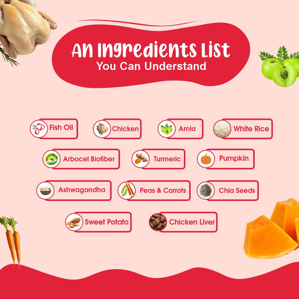 Chicken Combo Dog Food Trial Pack (Chicken Rice & Veggies | Chicken Pumpkin With Vegetables) 2+2