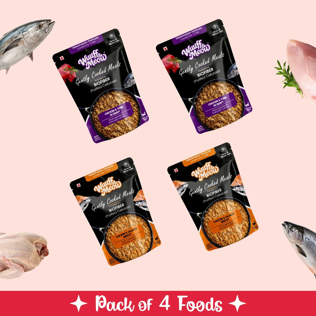 Chicken & Fish Fresh Cat Food Trial Pack - Zero Preservatives & Helps in Hairball Removal | Pack of 4