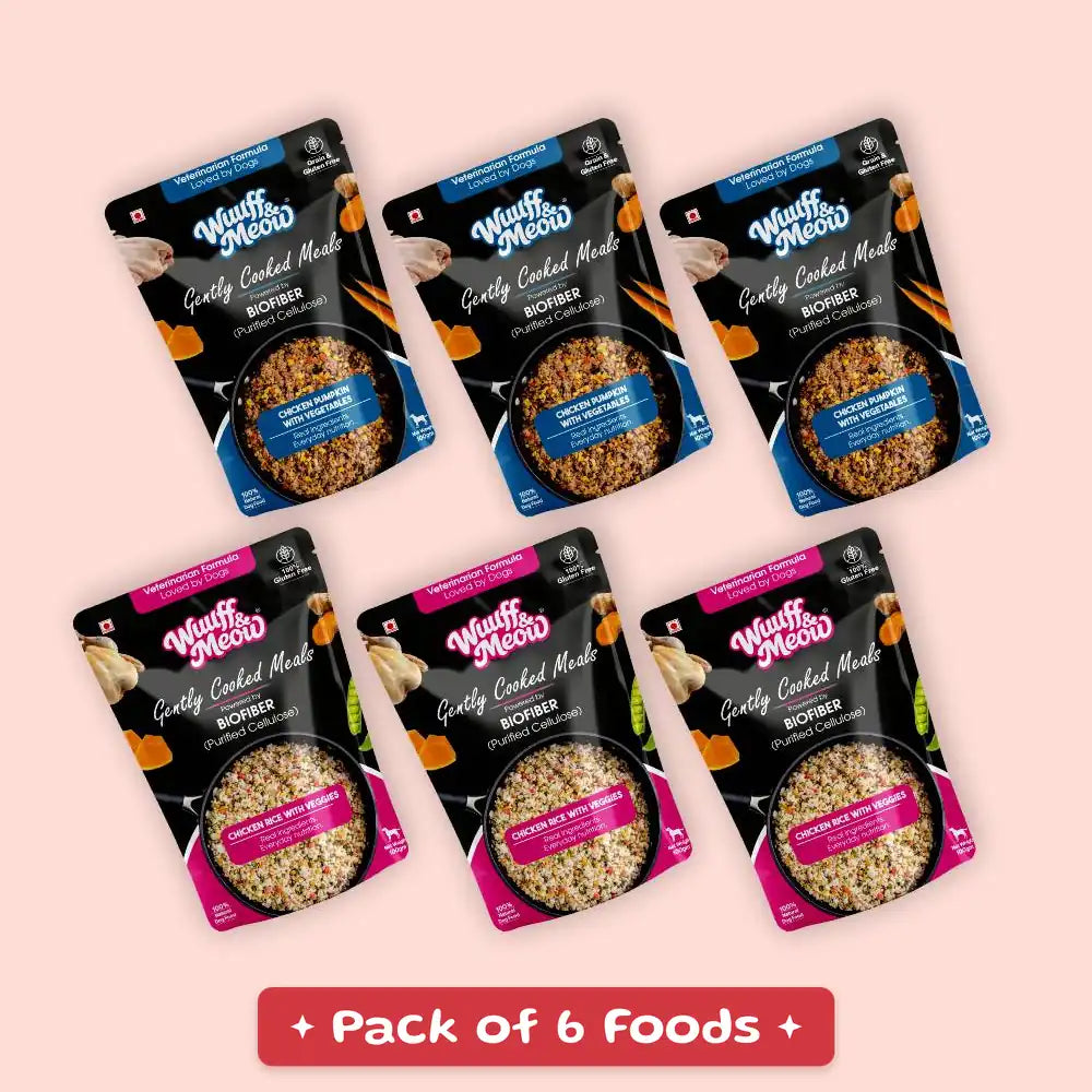 Chicken & Veggies Fresh Dog Food Trial Pack | 100% Natural & Zero Preservatives | Pack of 6