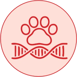 Collagen-Rich Recovery & Immunity