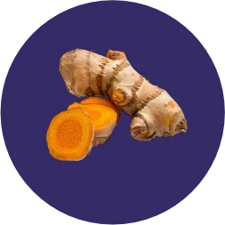 Curcumin + Piperine - Anti-Inflammatory