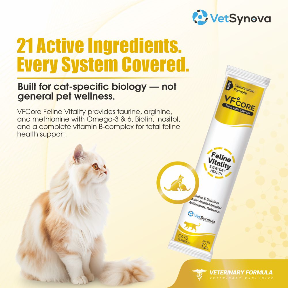 VFCore Feline Vitality — Complete Daily Multivitamin for Cats | 12g Lickable Sachet