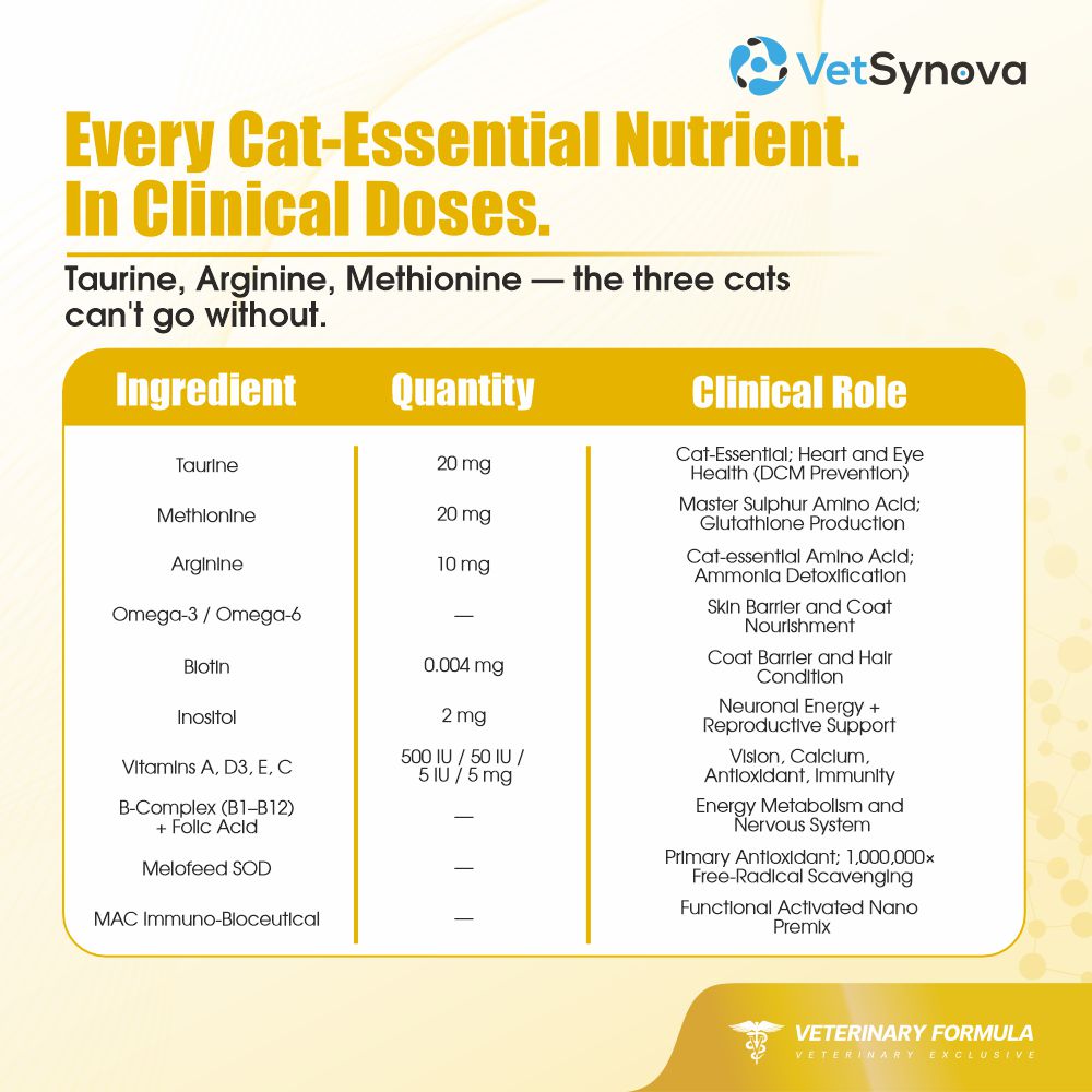 VFCore Feline Vitality — Complete Daily Multivitamin for Cats | 12g Lickable Sachet