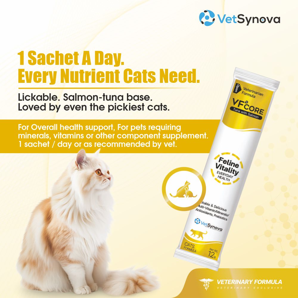 VFCore Feline Vitality — Complete Daily Multivitamin for Cats | 12g Lickable Sachet