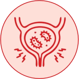 Fewer Painful Bladder Flare-ups