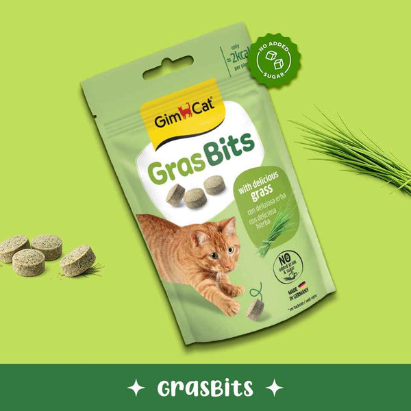 GimCat GrasBits – Grass-Flavoured Cat Treats with Vitamin D3 | 100 GrasBits