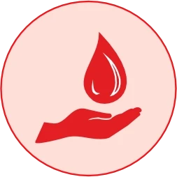 Green-lipped Mussel + MSM — Calm Inflamed Joints From Within