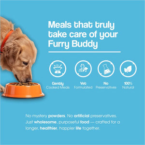 Gut Guard+ Digestive Health Functional Fresh Dog Food | Prebiotic + Probiotic Ready