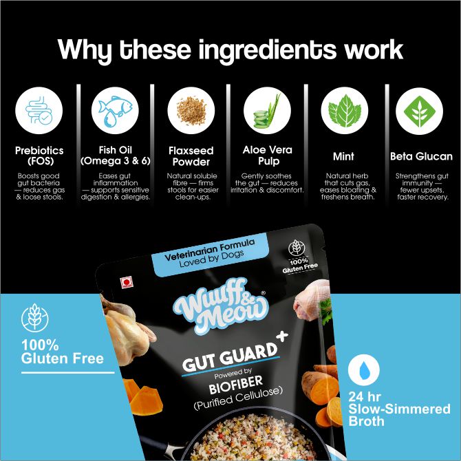 Gut Guard+ Digestive Health Functional Fresh Dog Food | Prebiotic + Probiotic Ready