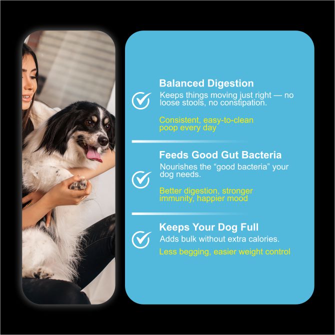 Gut Guard+ Digestive Health Functional Fresh Dog Food | Prebiotic + Probiotic Ready