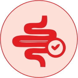 Amino Acid Recovery & Gut Lining Support