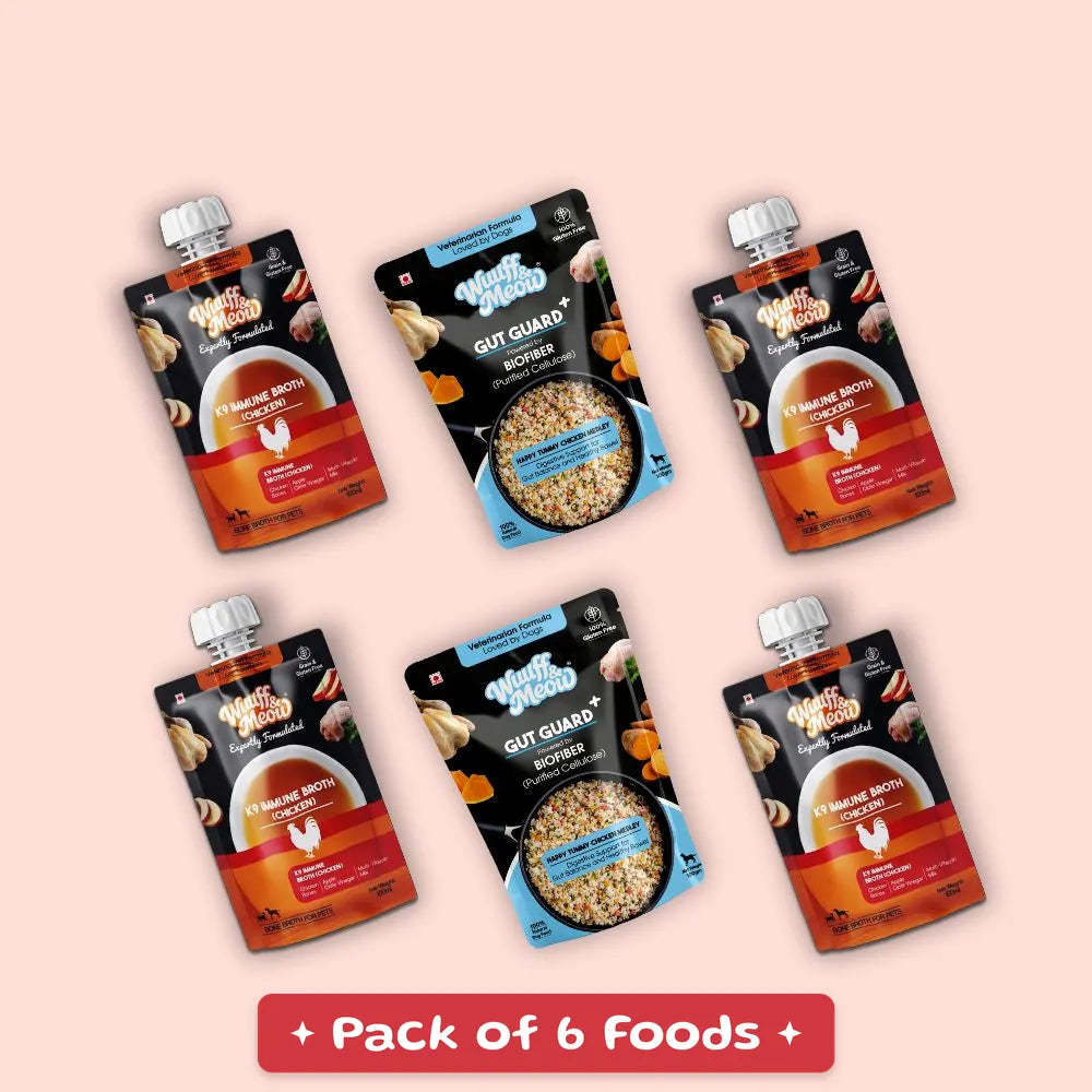 Gut and Joint Care Dog Food Trial Pack | 100% Natural & Zero Preservatives | Pack of 6