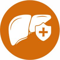 Heart, Liver & Immune Support