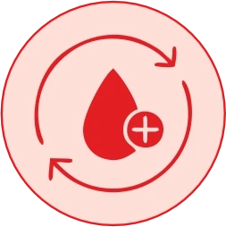 Improves Blood Flow & Tissue Repair 