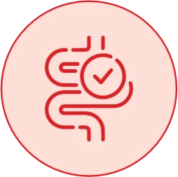 Improves Gut Health 