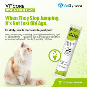 VFCore JC — Advanced Joint Care Supplement for Cats | 12g Lickable Sachet