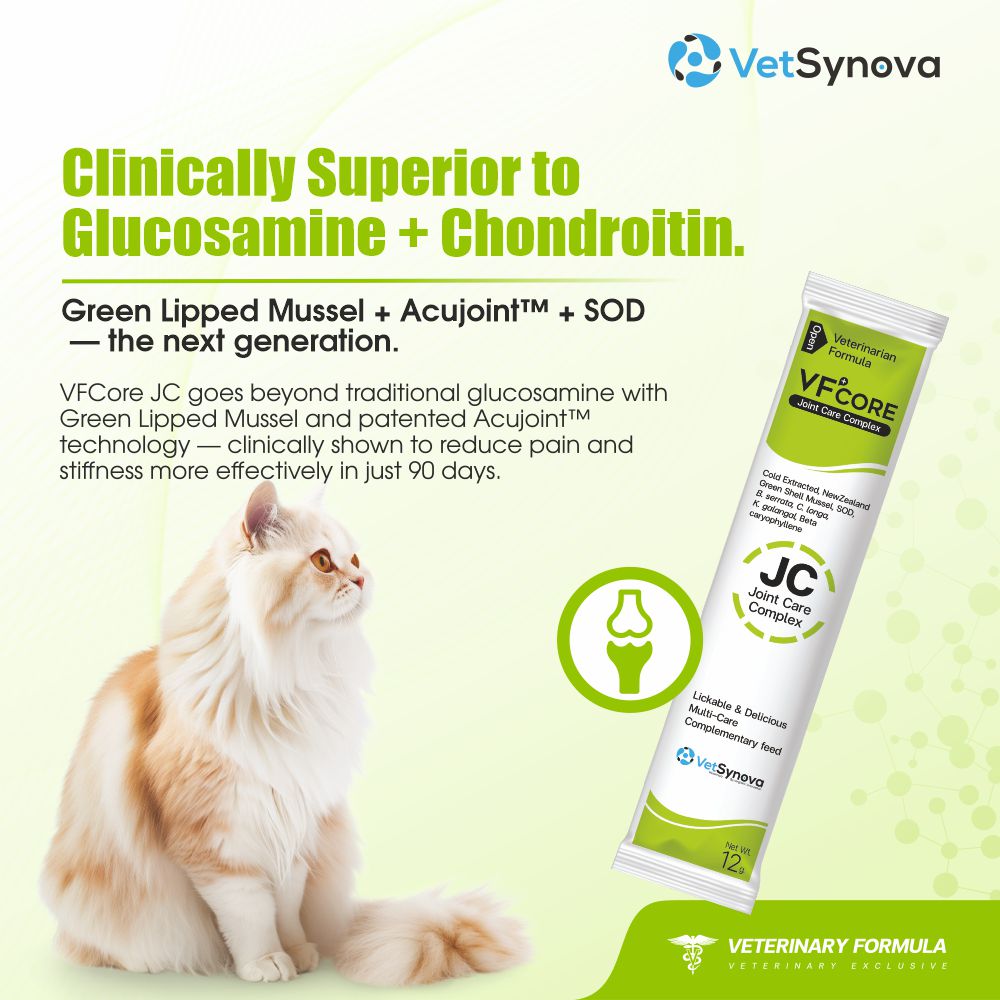 VFCore JC — Advanced Joint Care Supplement for Cats | 12g Lickable Sachet