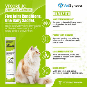 VFCore JC — Advanced Joint Care Supplement for Cats | 12g Lickable Sachet