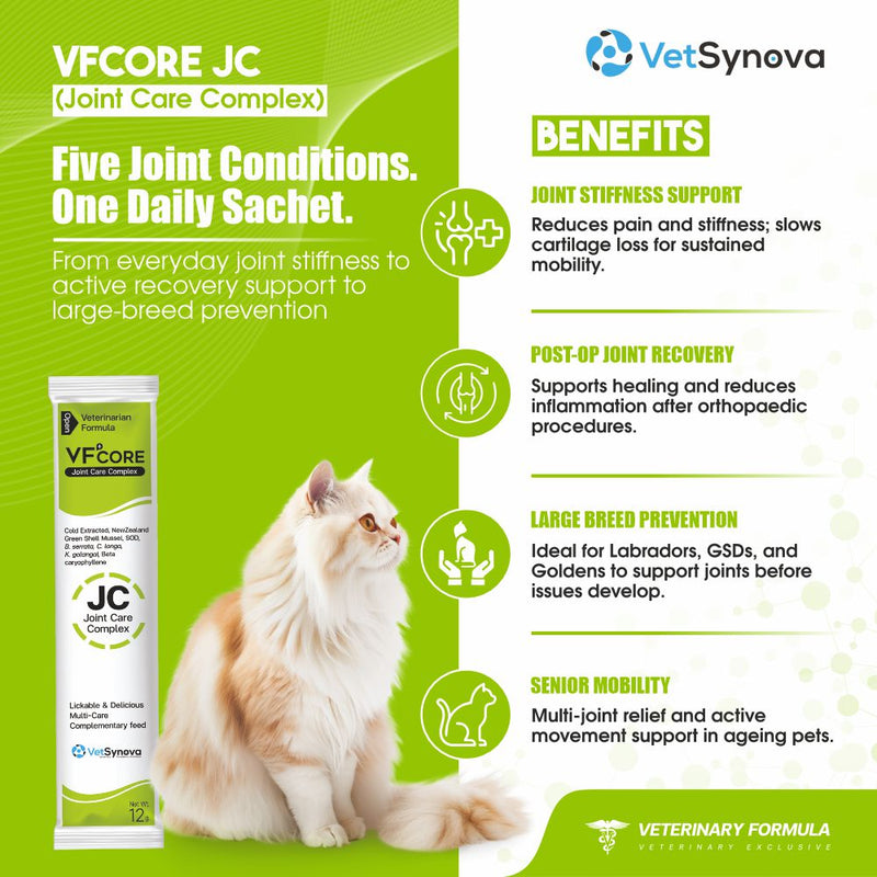 VFCore JC — Advanced Joint Care Supplement for Cats | 12g Lickable Sachet