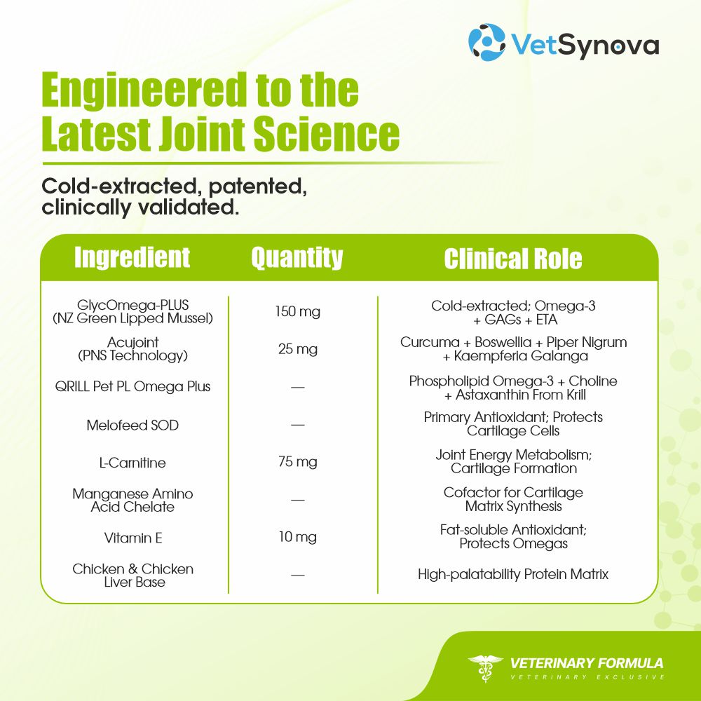 VFCore JC — Advanced Joint Care Supplement for Cats | 12g Lickable Sachet
