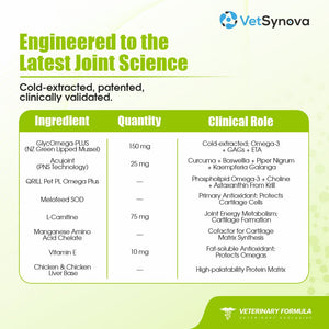 VFCore JC — Advanced Joint Care Supplement for Cats | 12g Lickable Sachet