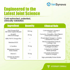 VFCore JC Advanced Joint Care Supplement for Cats | Arthritis & Mobility Support | Pack of 30