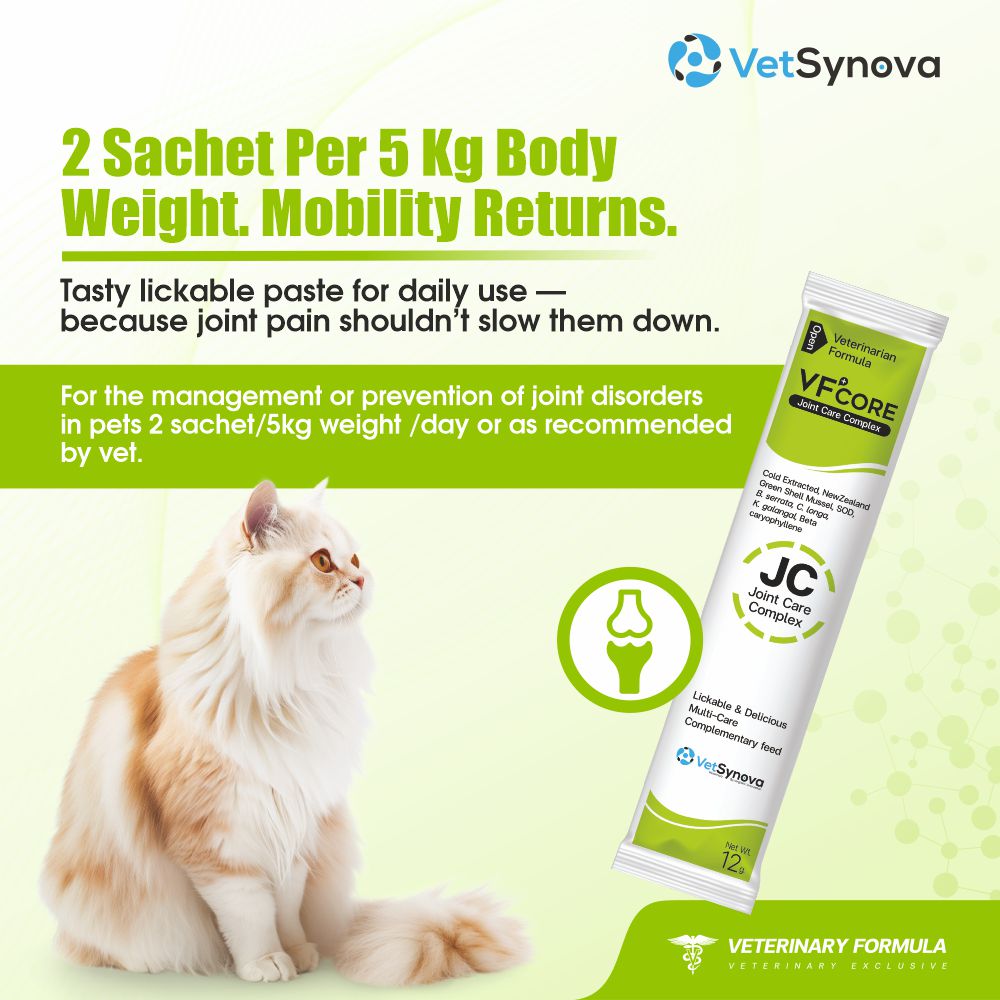 VFCore JC — Advanced Joint Care Supplement for Cats | 12g Lickable Sachet