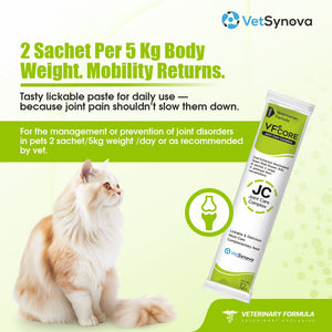 VFCore JC — Advanced Joint Care Supplement for Cats | 12g Lickable Sachet