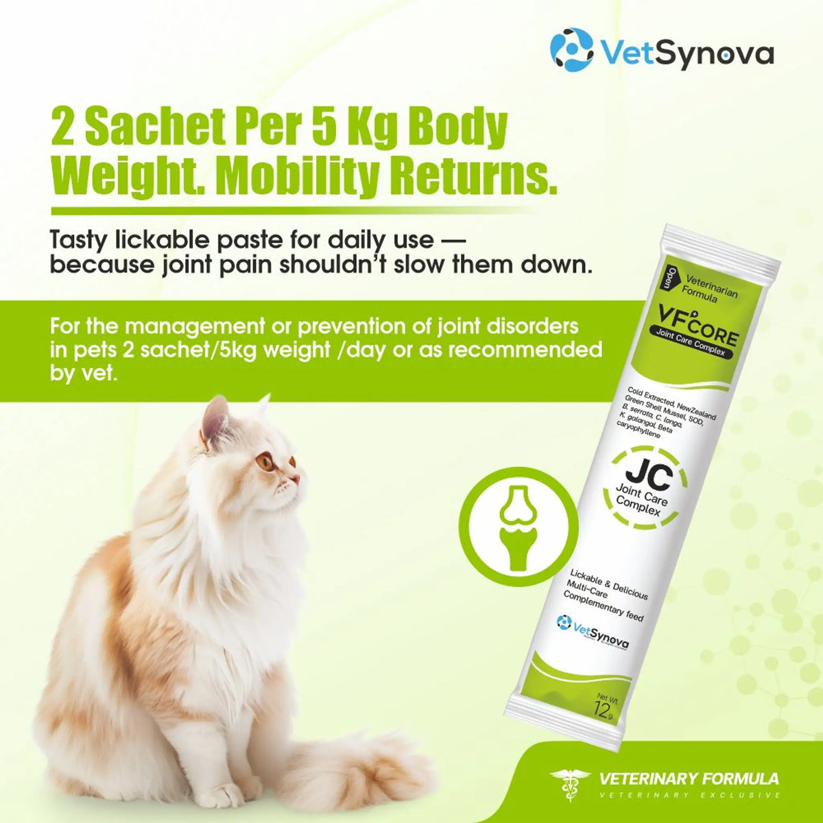 VFCore JC Advanced Joint Care Supplement for Cats | Arthritis & Mobility Support | Pack of 30