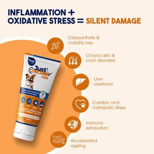 JUST CURCUMIN™ High-Purity Curcumin Oral Paste for Dogs & Cats | Advanced Anti-Inflammatory & Joint Support