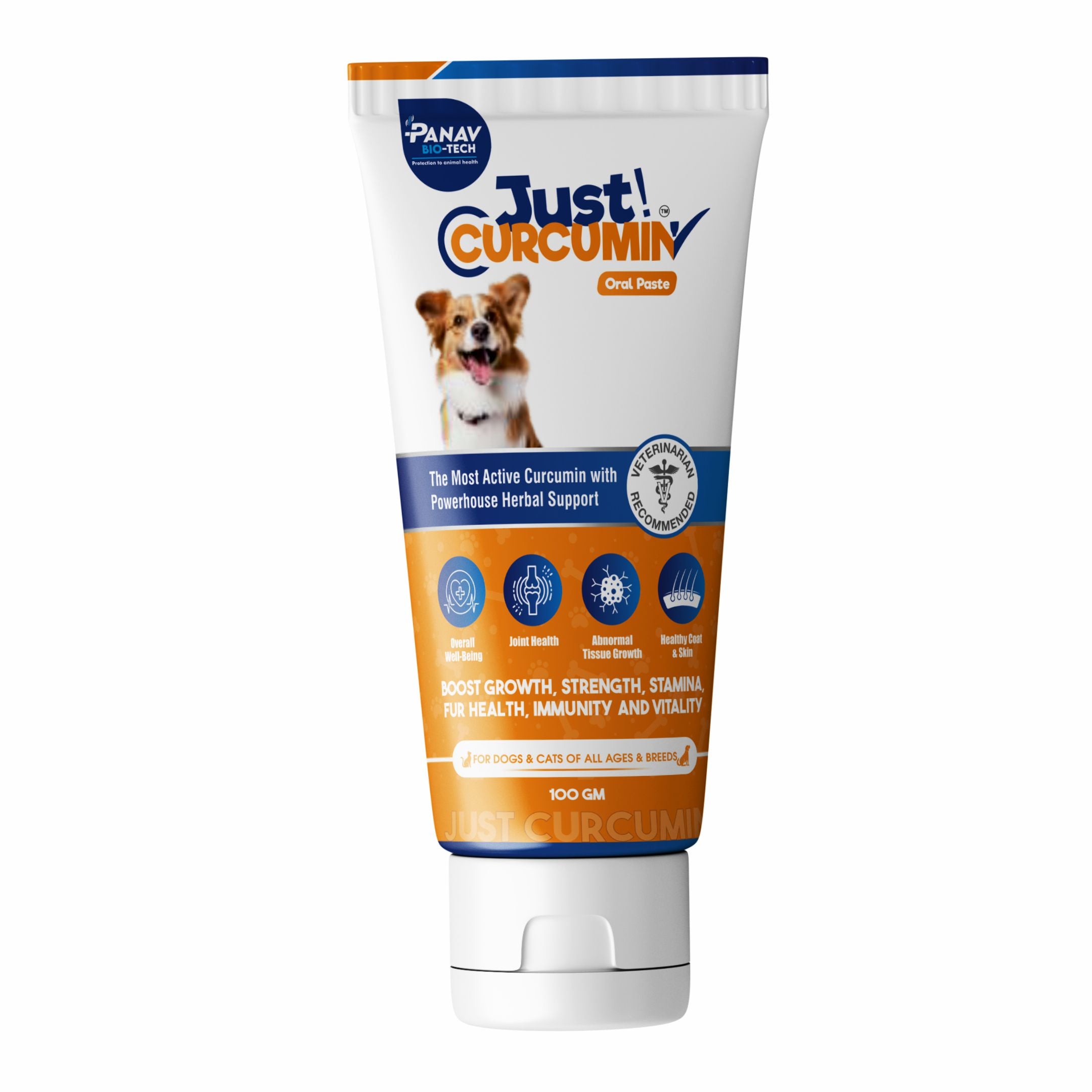 JUST CURCUMIN™ High-Purity Curcumin Oral Paste for Dogs & Cats | Advanced Anti-Inflammatory & Joint Support