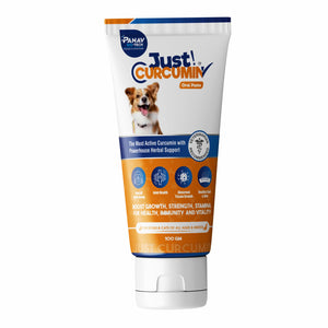 JUST CURCUMIN™ High-Purity Curcumin Oral Paste for Dogs & Cats | Advanced Anti-Inflammatory & Joint Support