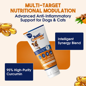 JUST CURCUMIN™ High-Purity Curcumin Oral Paste for Dogs & Cats | Advanced Anti-Inflammatory & Joint Support