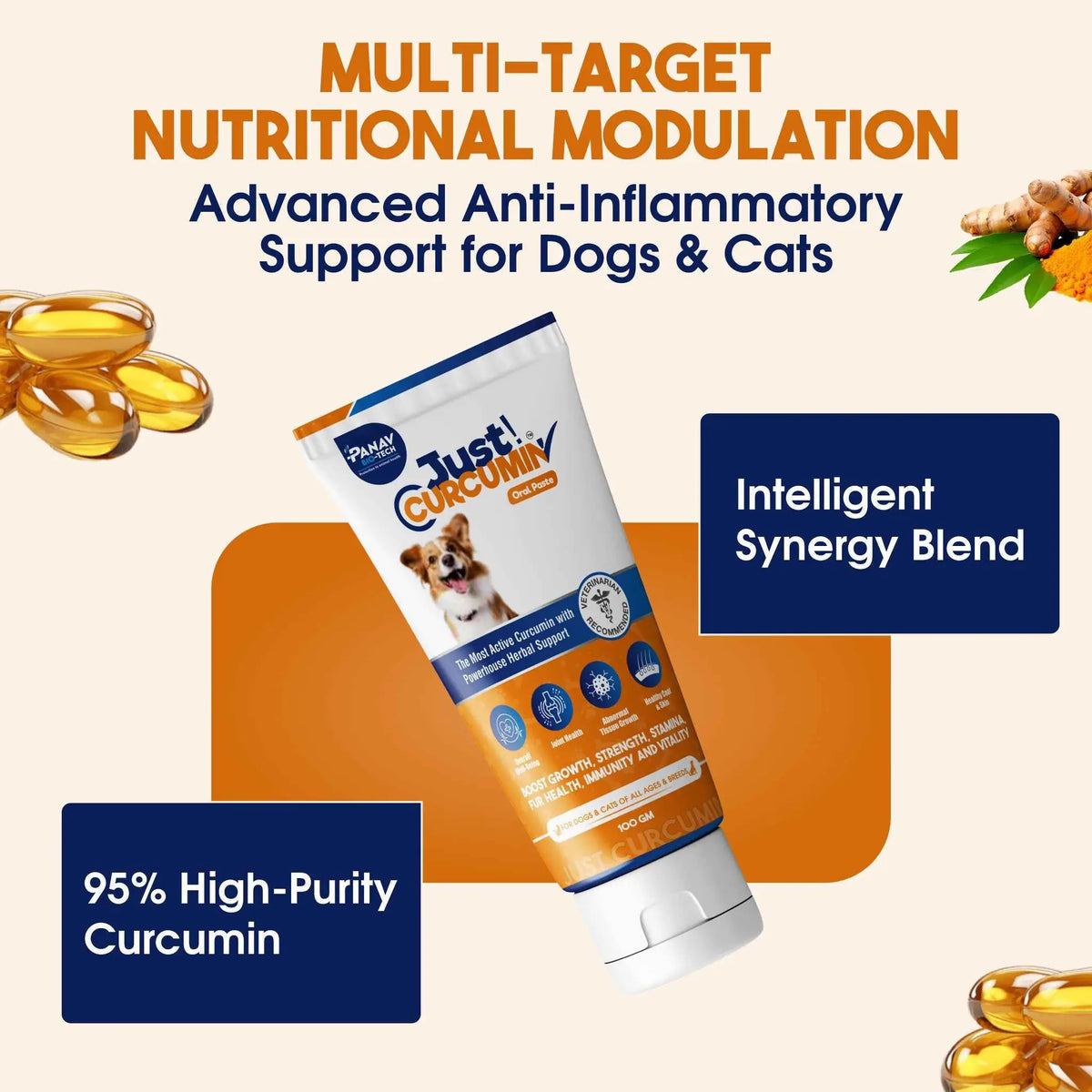 JUST CURCUMIN™ Oral Paste for Dogs & Cats | Curcumin Anti-Inflammatory & Joint Support
